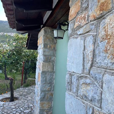 Villa Citrus garden Epidaurus Exterior foto