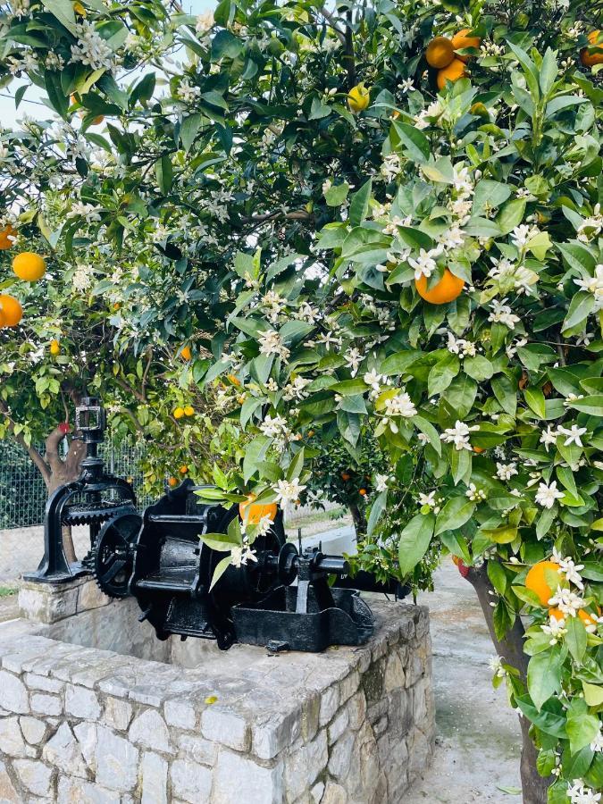 Villa Citrus garden Epidaurus Exterior foto