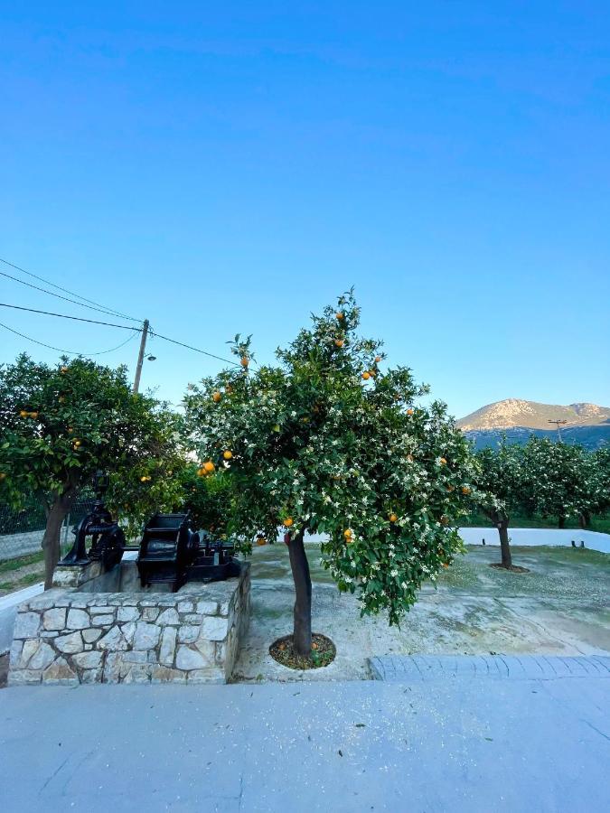 Villa Citrus garden Epidaurus Exterior foto