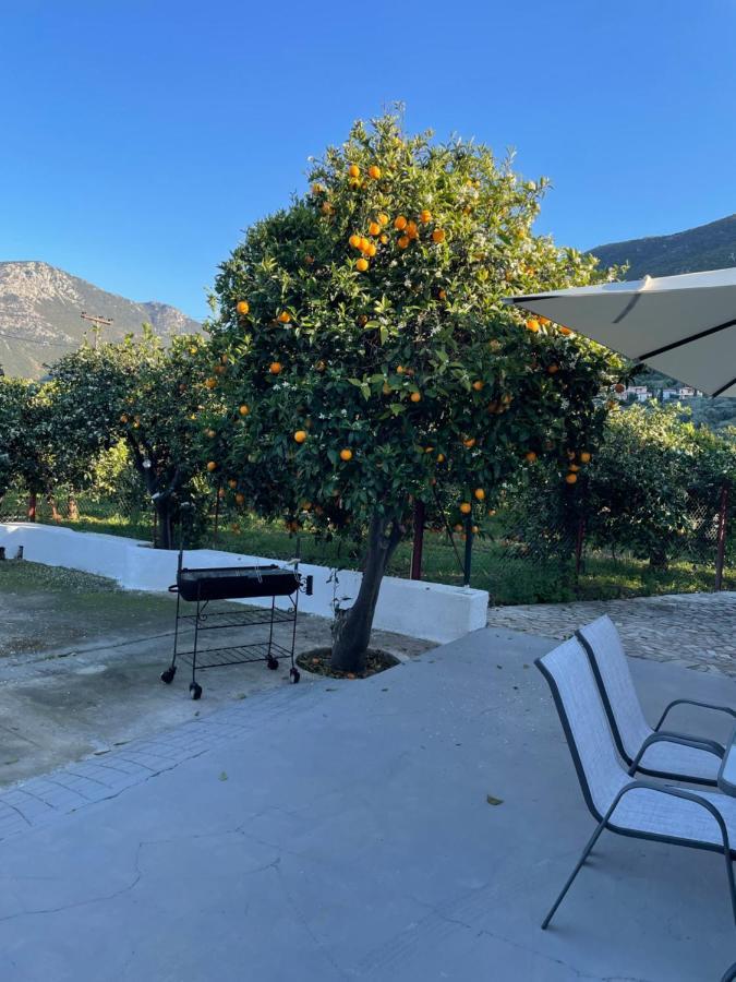 Villa Citrus garden Epidaurus Exterior foto