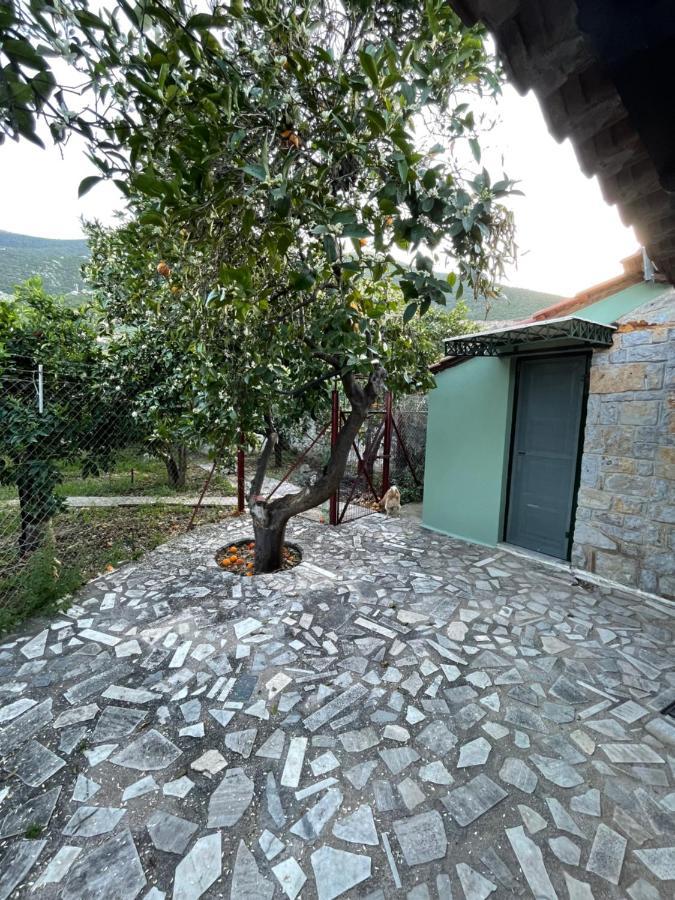 Villa Citrus garden Epidaurus Exterior foto